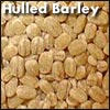 Hulled Barley