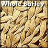 Whole Barley