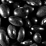 Black Turtle Beans