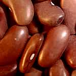 Kidney Beans