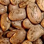 Pinto Beans