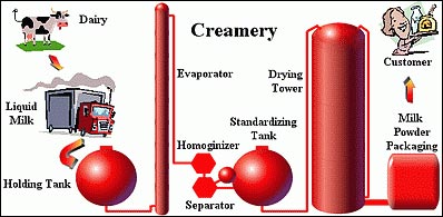 How is Powdered Milk Made?