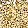 Quinoa