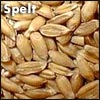 Spelt