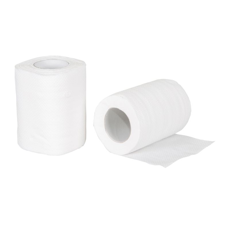 Biodegradable Toilet Tissue - 2 pack
