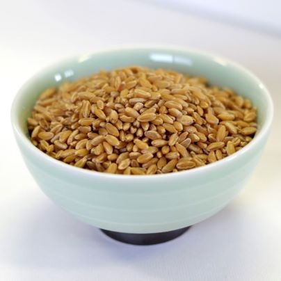 Wheat - Durum Wheat for pasta 25 lb. bag