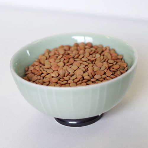 Beans - Lentil Beans 88 oz. #10 can