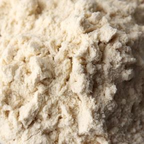 Vital Wheat Gluten 50 lb. bag
